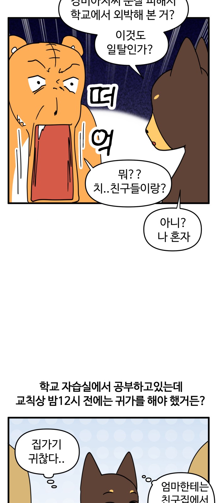 13 페이지
