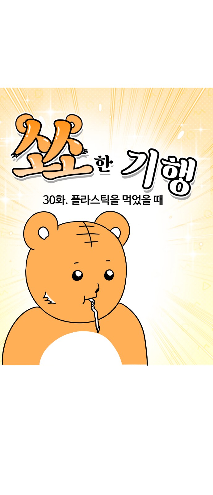 5 페이지