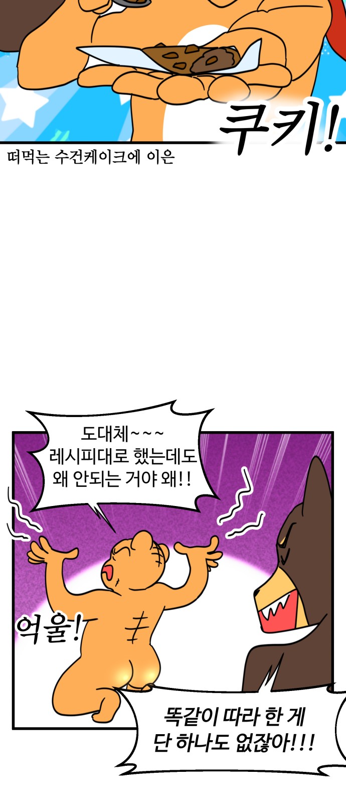 13 페이지