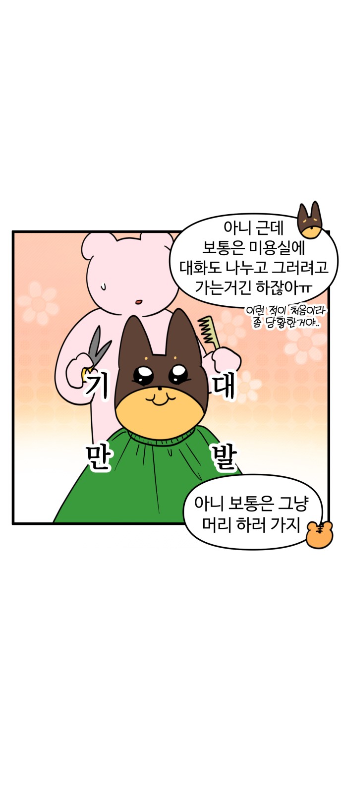 14 페이지