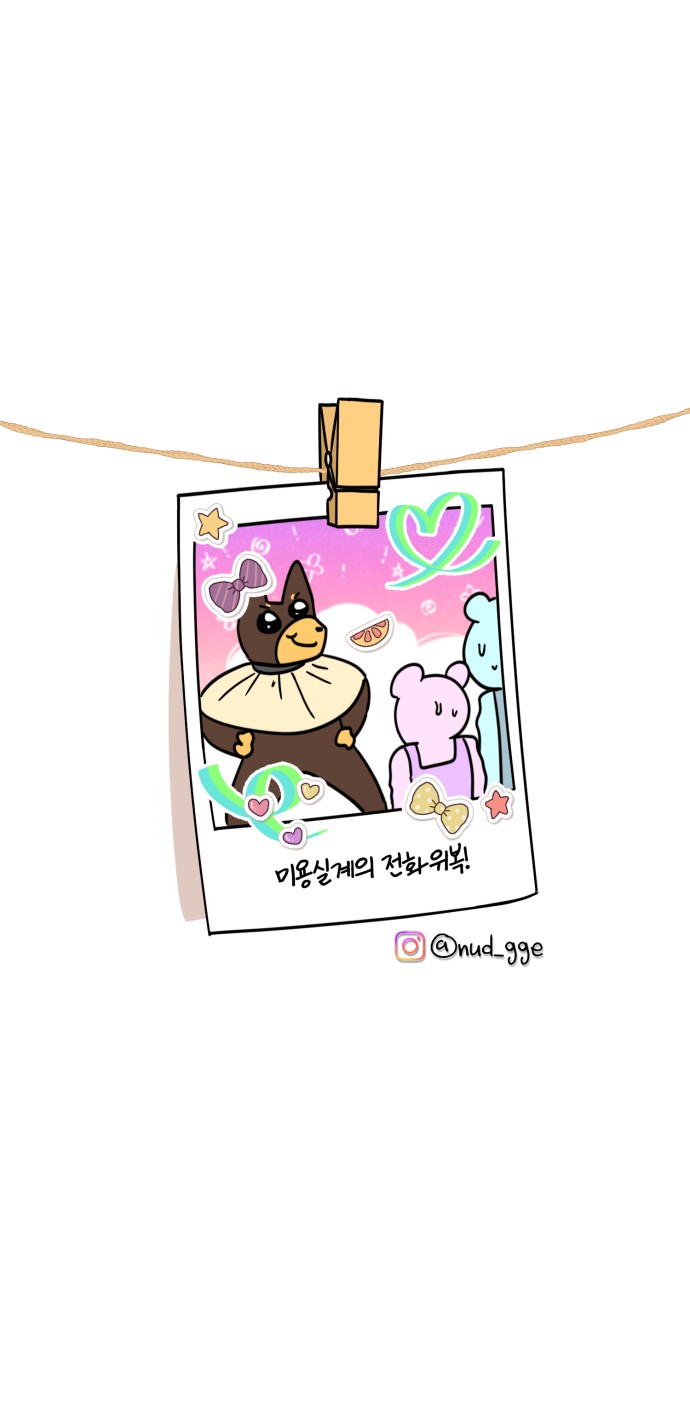 17 페이지