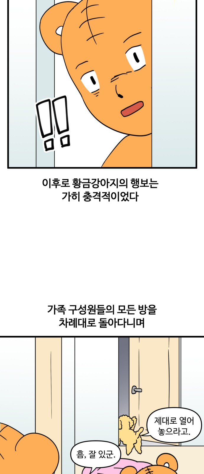 15 페이지