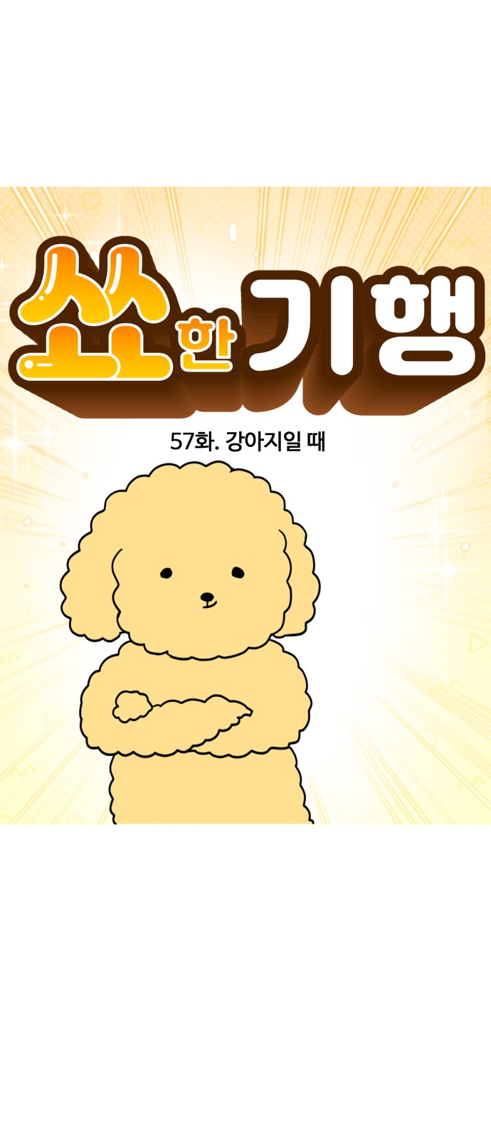 5 페이지