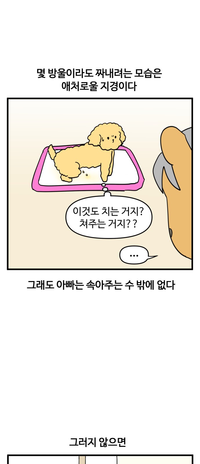 11 페이지
