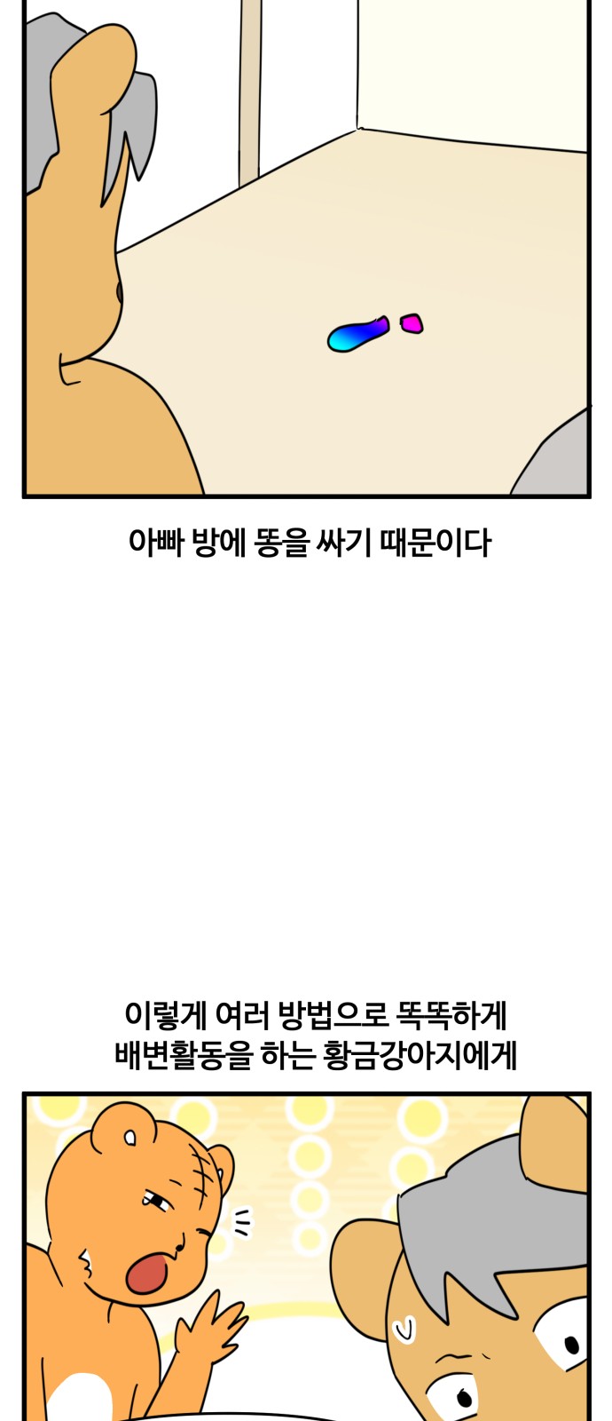 12 페이지