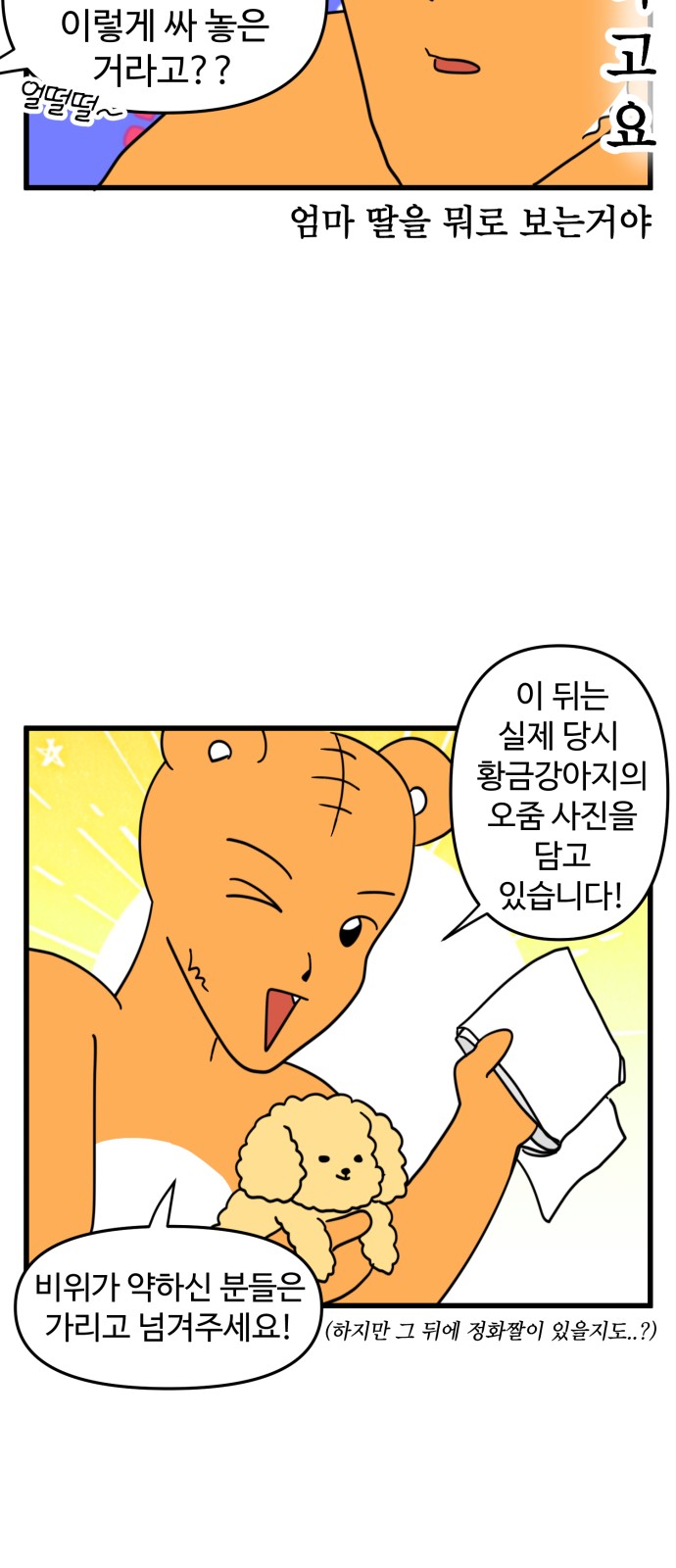 16 페이지