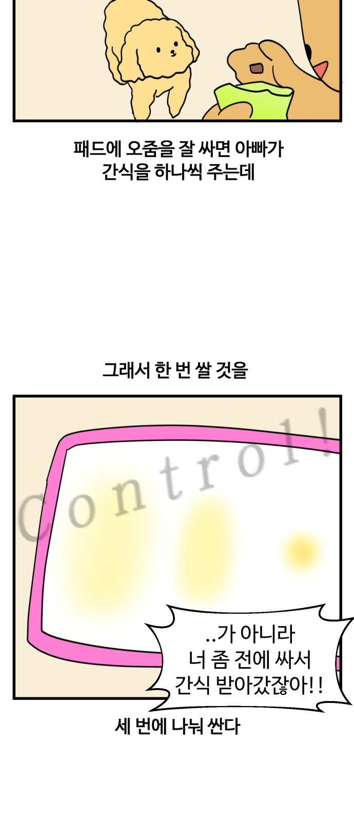 10 페이지