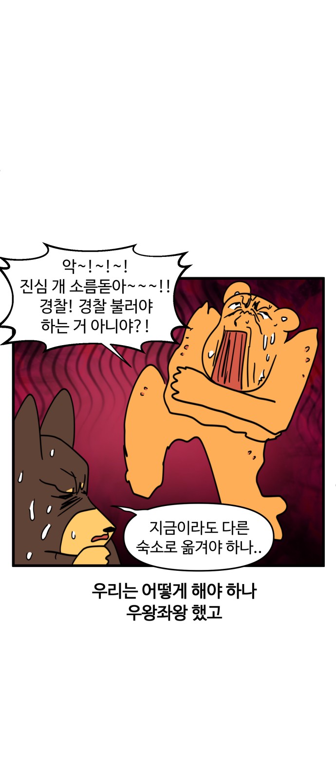 5 페이지