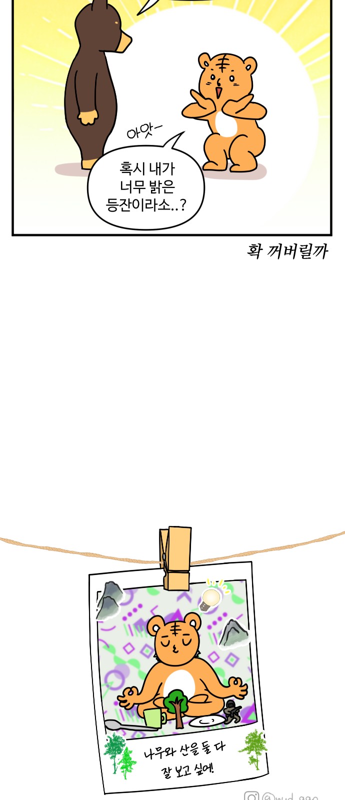 17 페이지