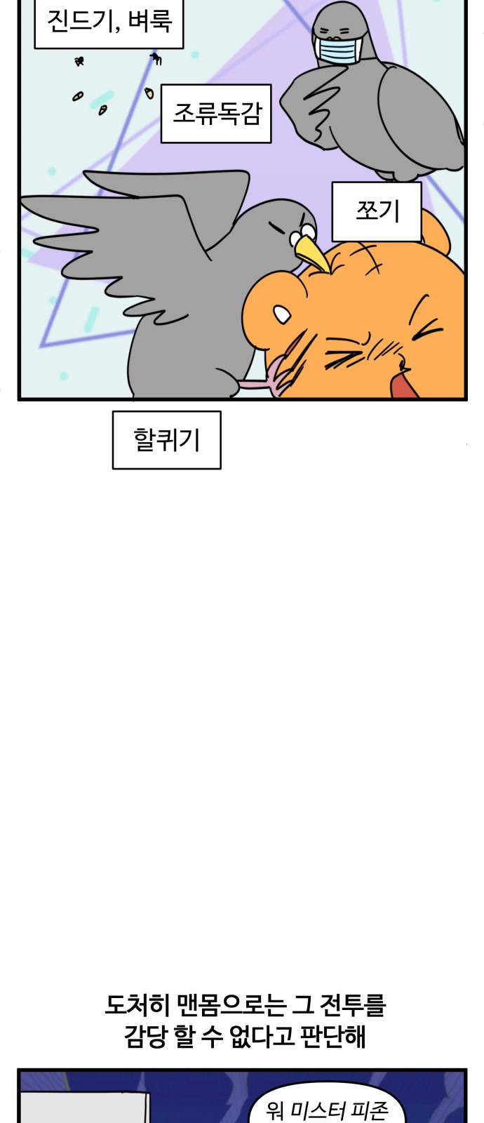11 페이지