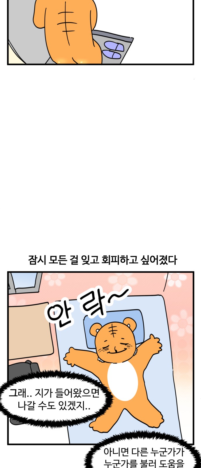 13 페이지
