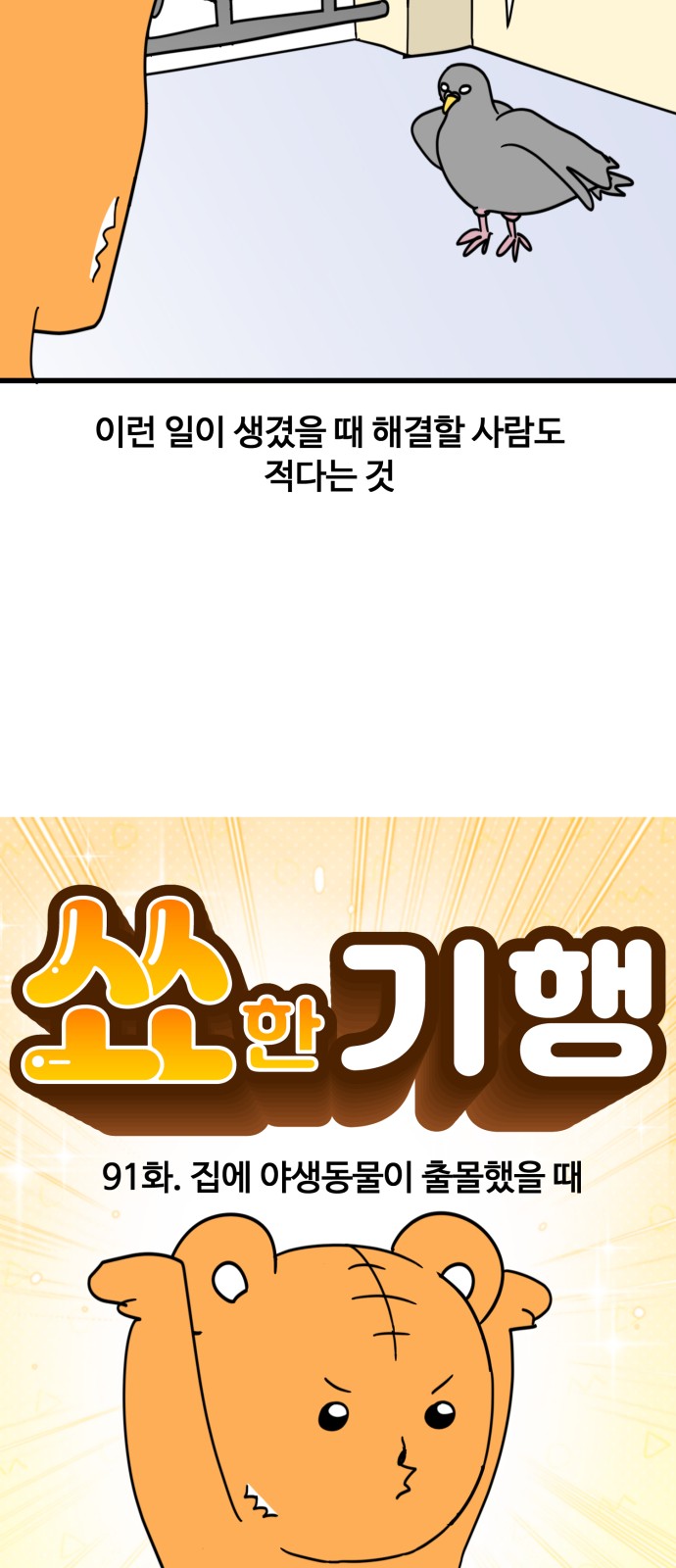 5 페이지