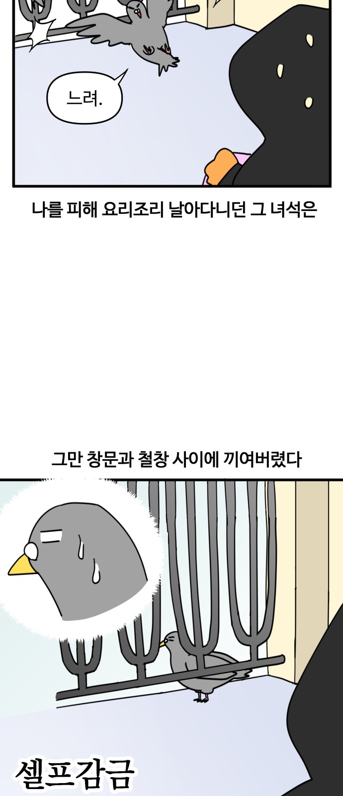 5 페이지