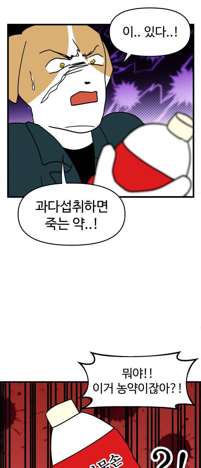 12 페이지