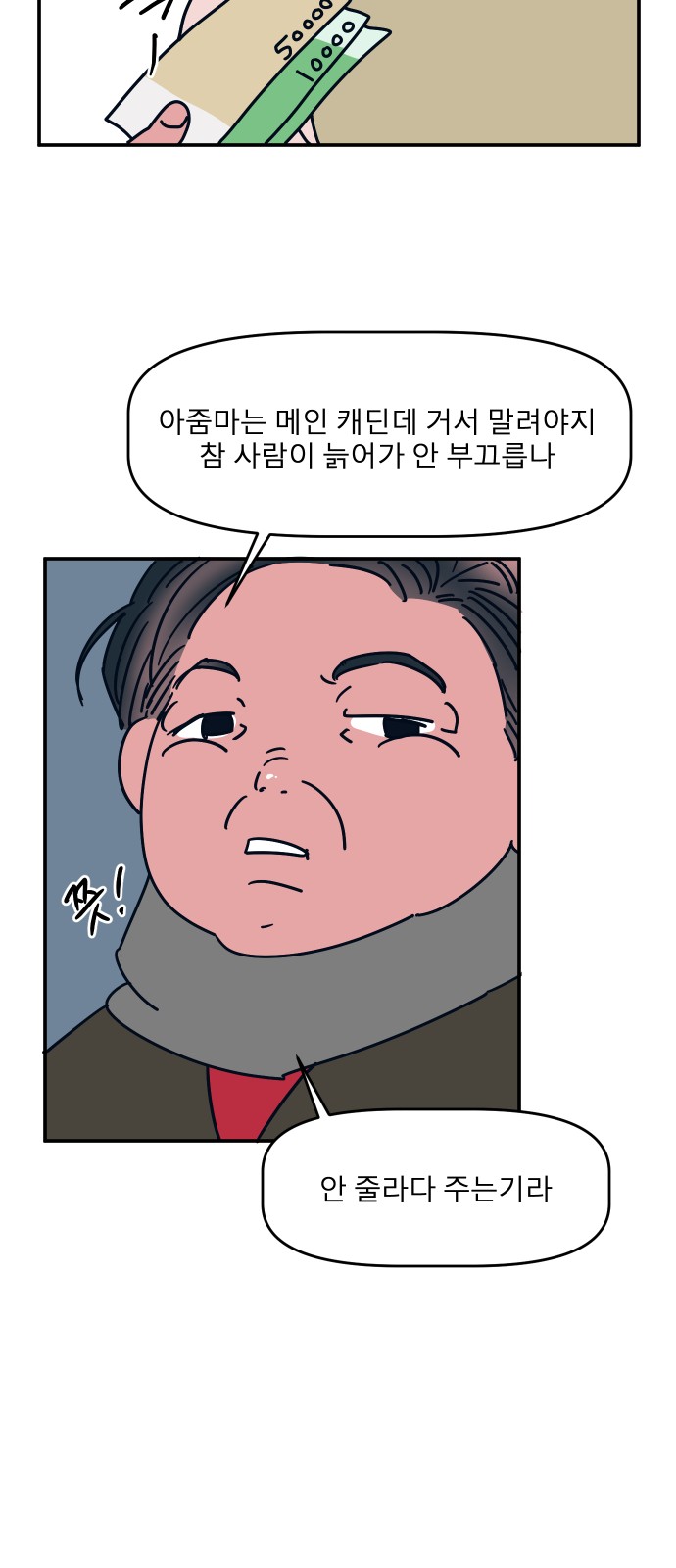 48 페이지