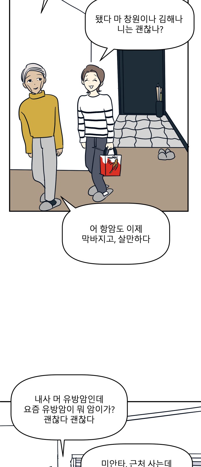 45 페이지