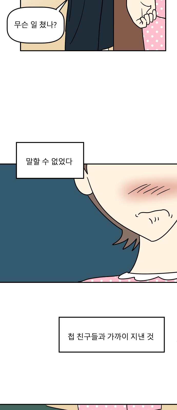 43 페이지