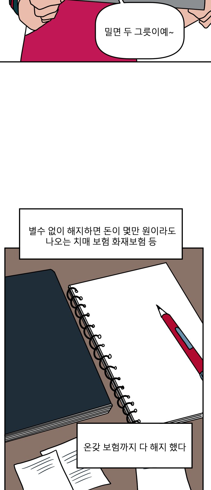 66 페이지