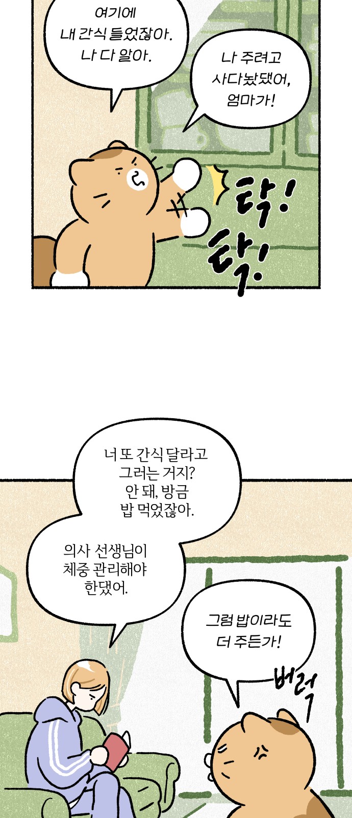 46 페이지