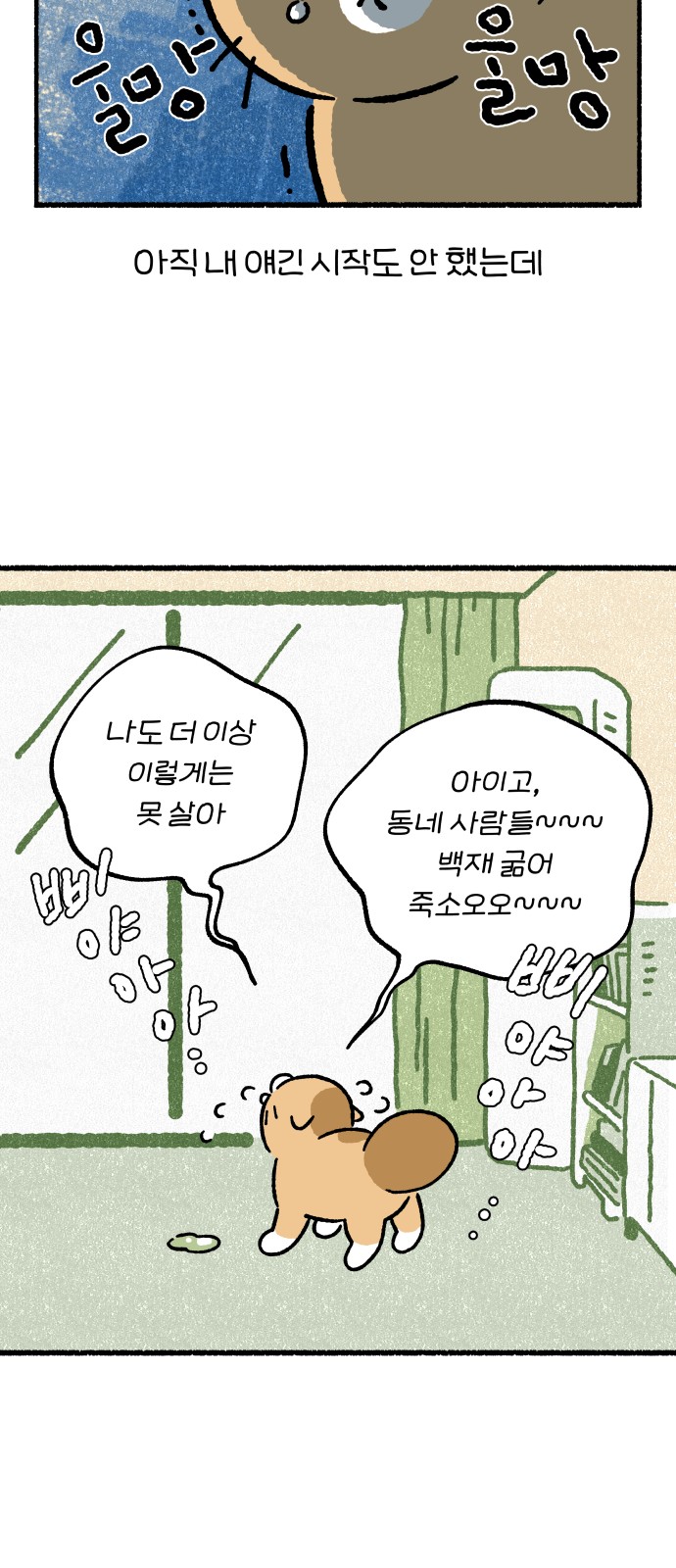 51 페이지