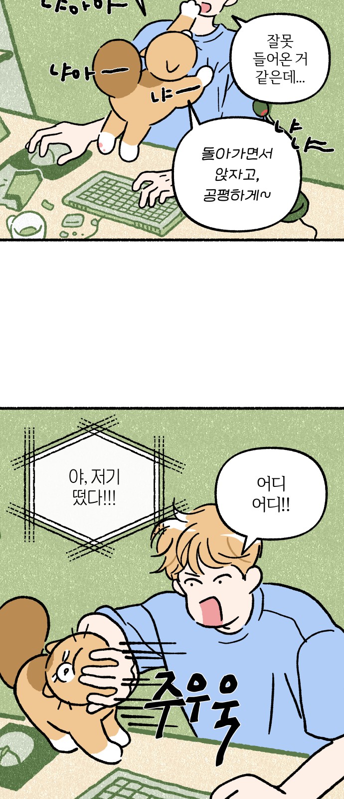10 페이지