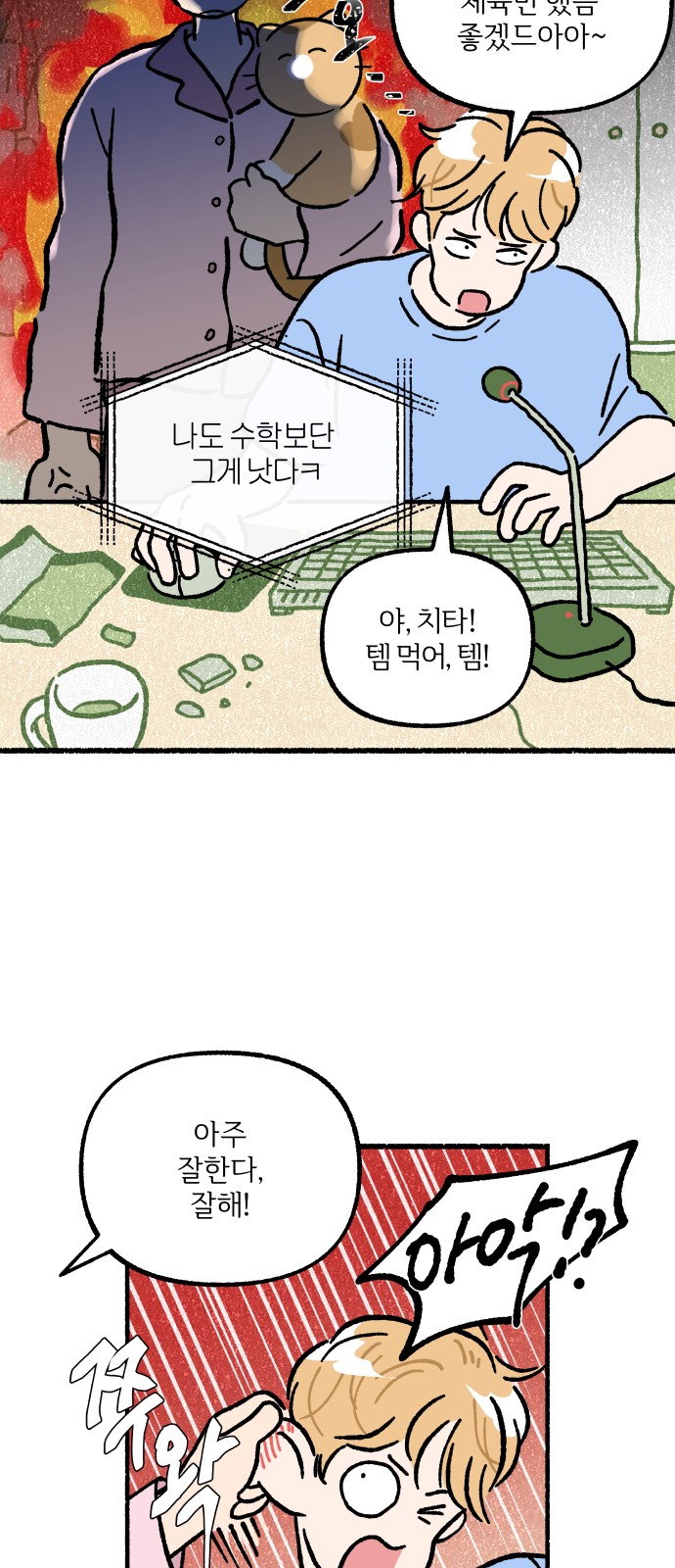 17 페이지