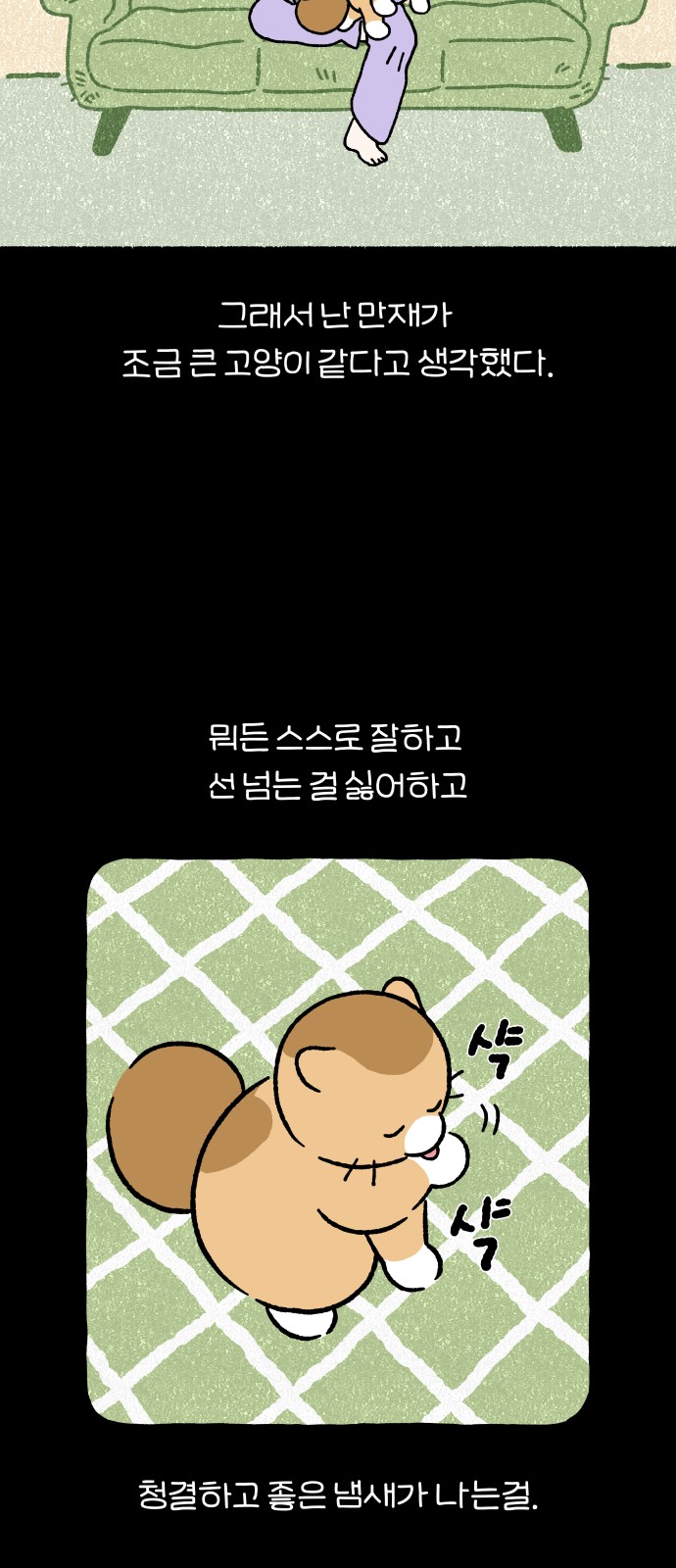 46 페이지