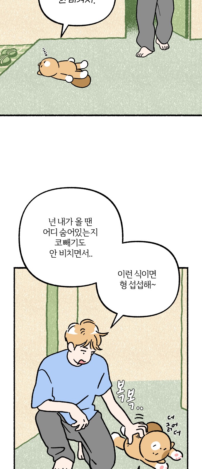 52 페이지