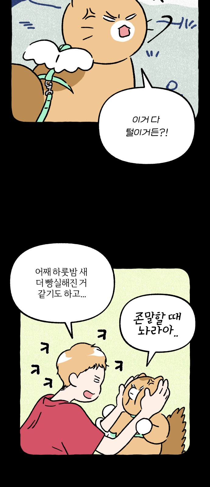 20 페이지