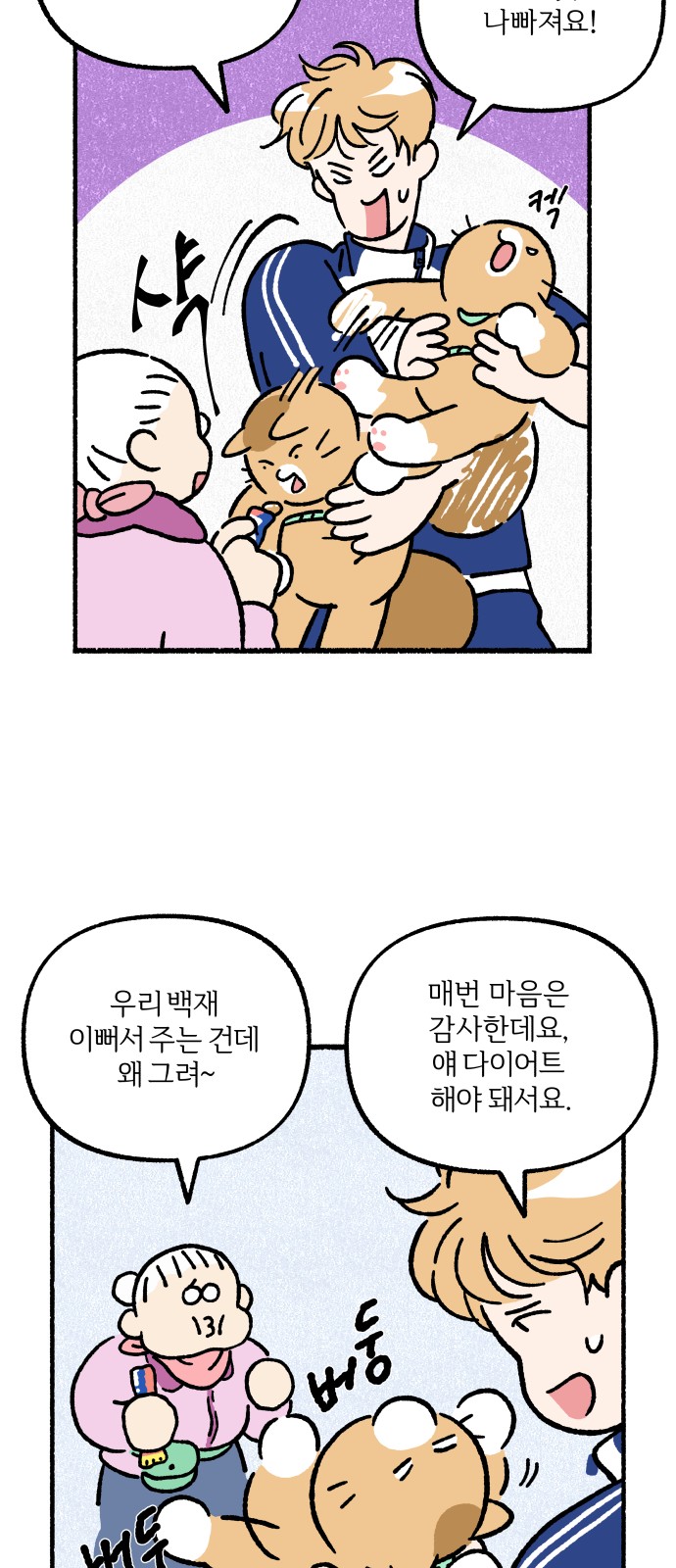 31 페이지