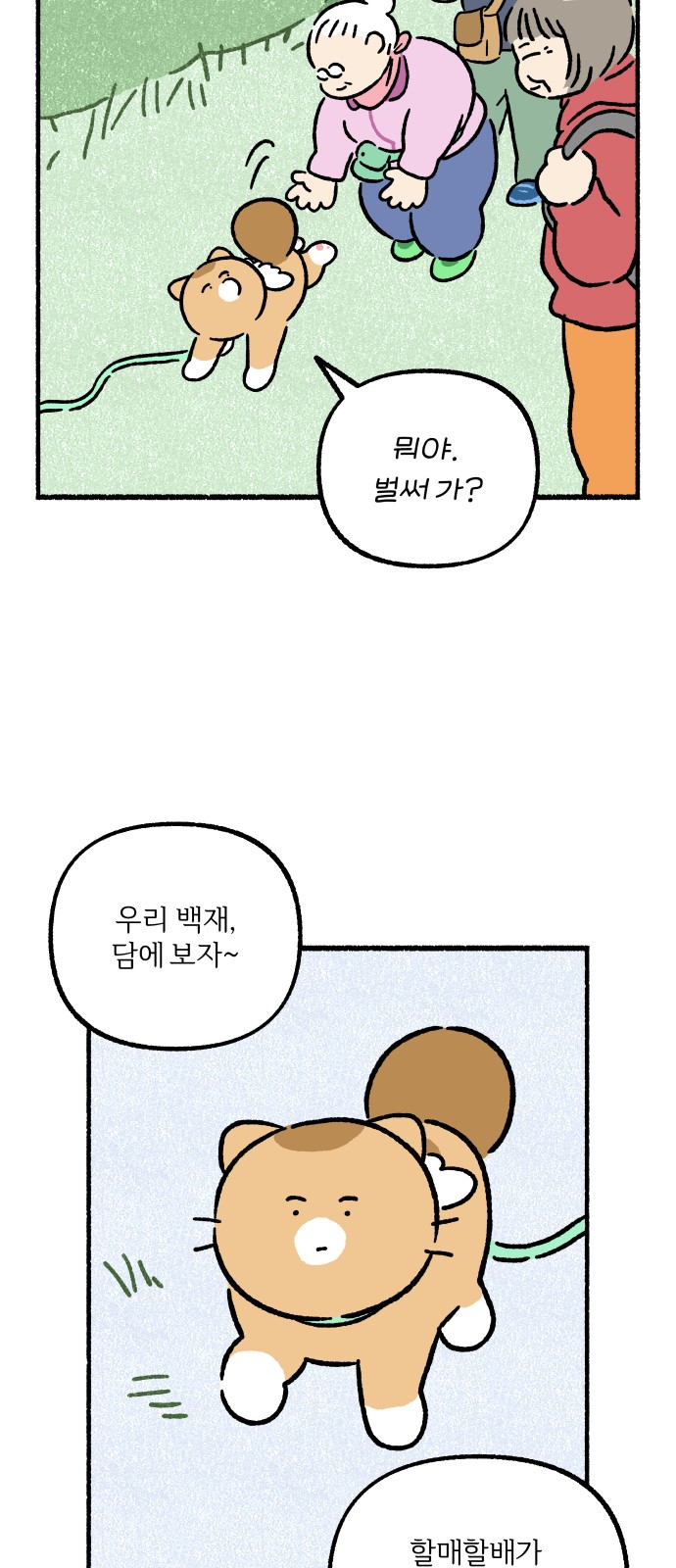48 페이지