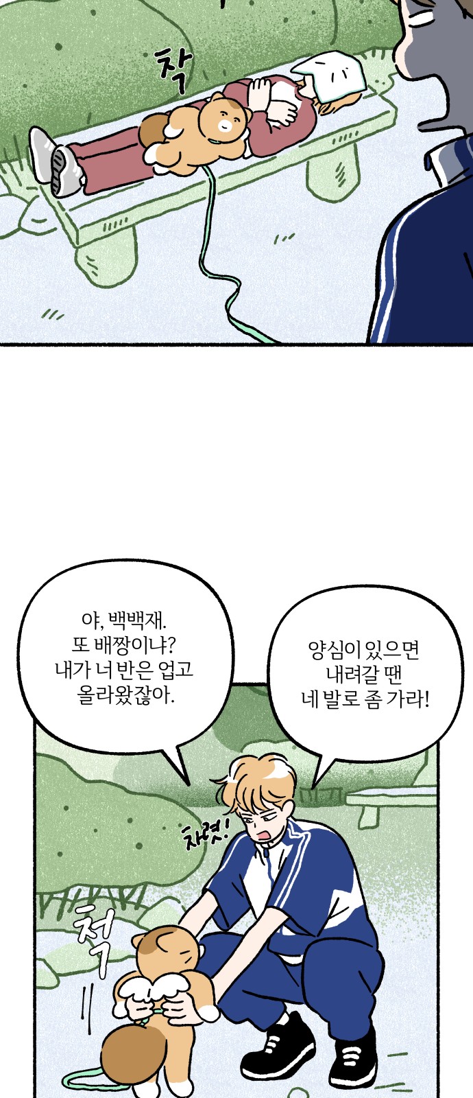 52 페이지
