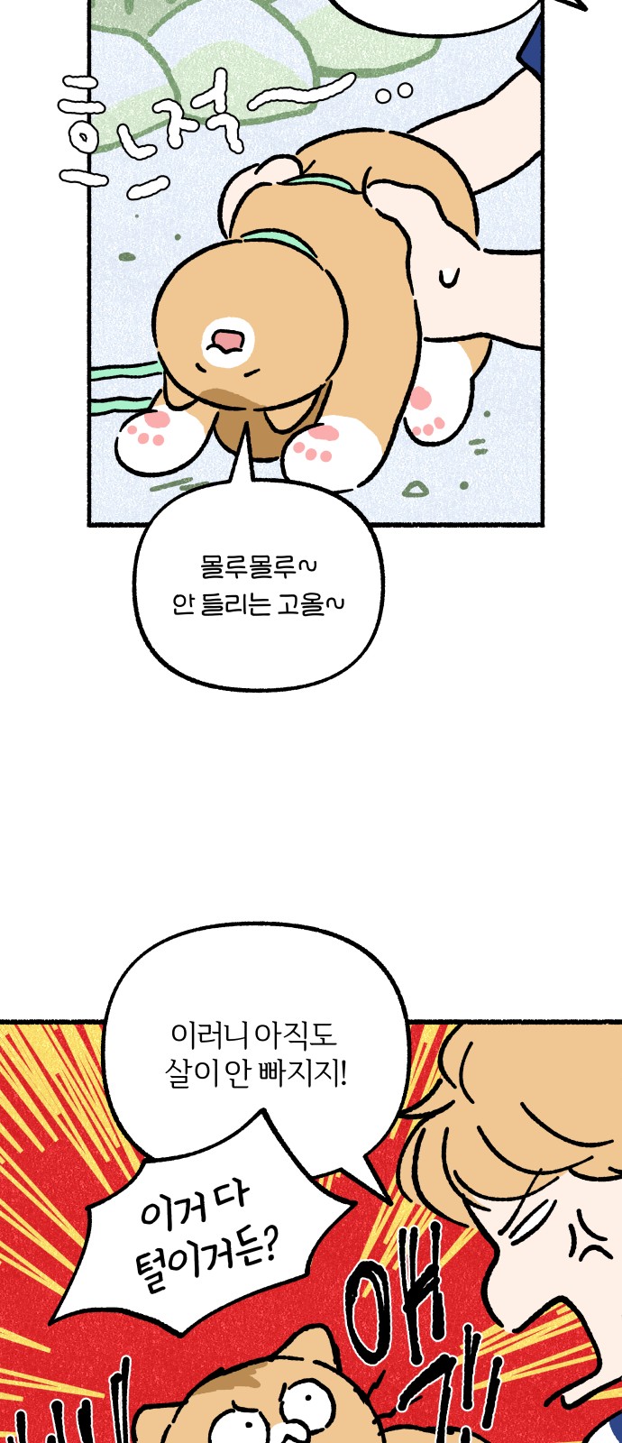 54 페이지