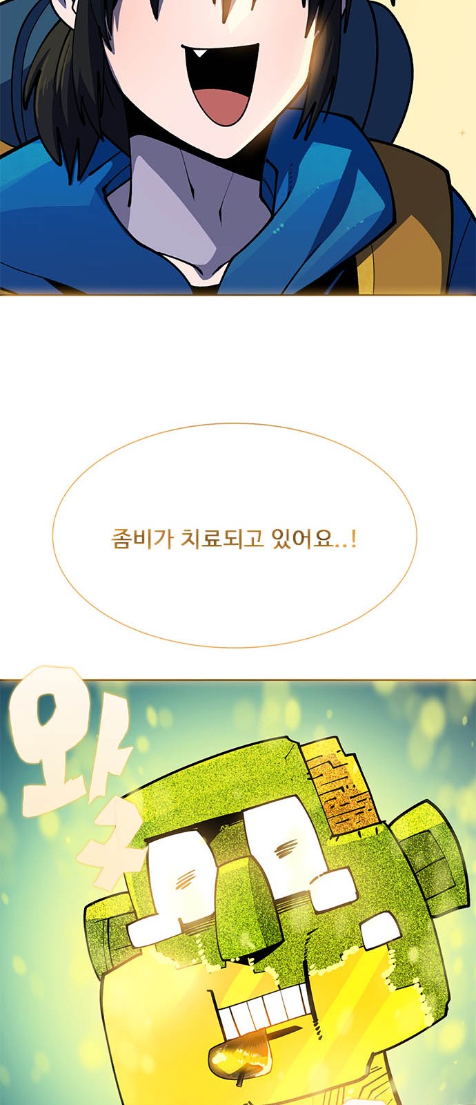 113 페이지