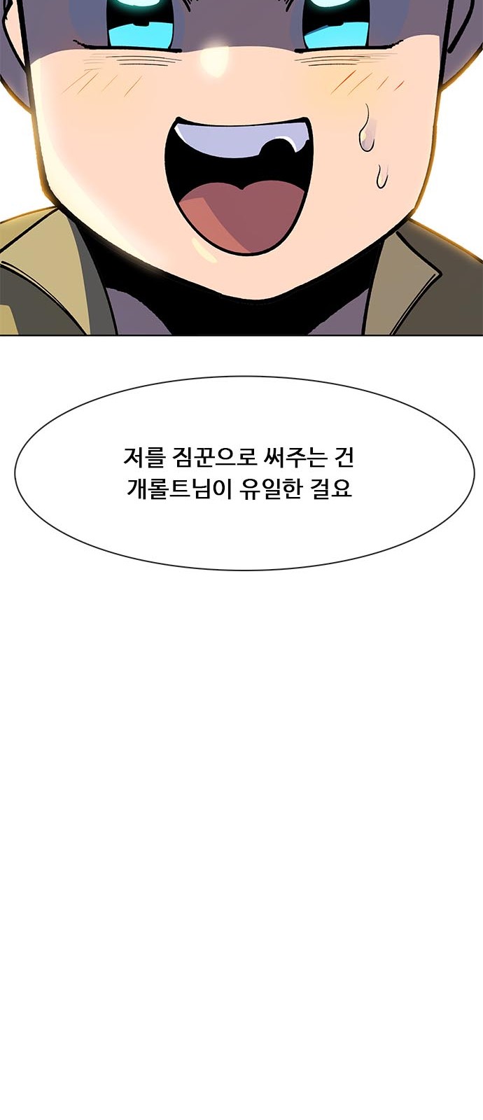 43 페이지