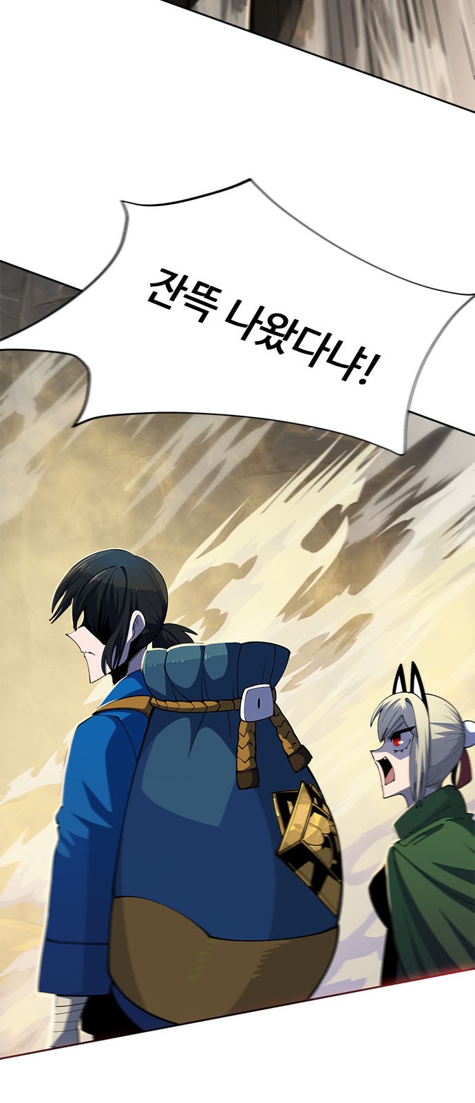 71 페이지