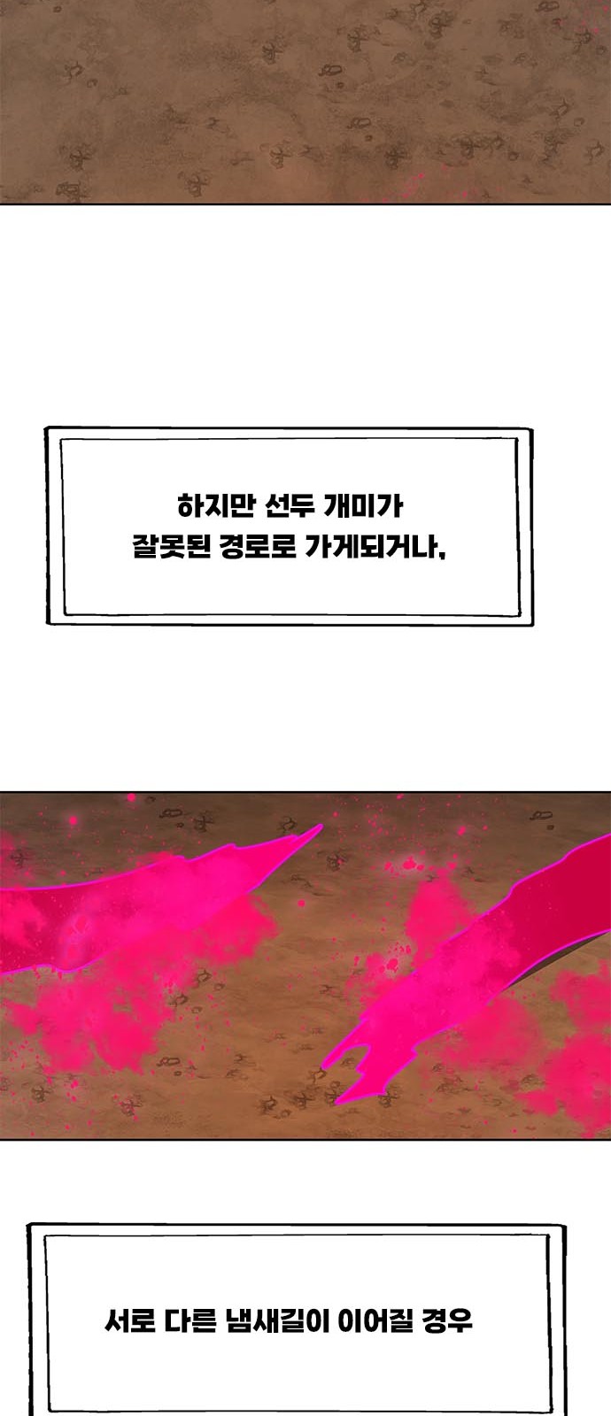 34 페이지