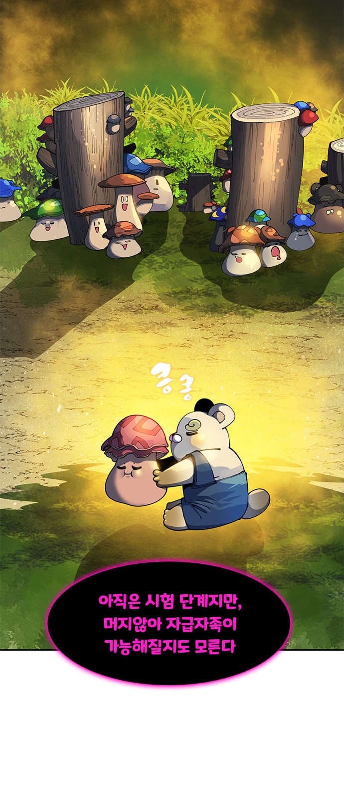 34 페이지