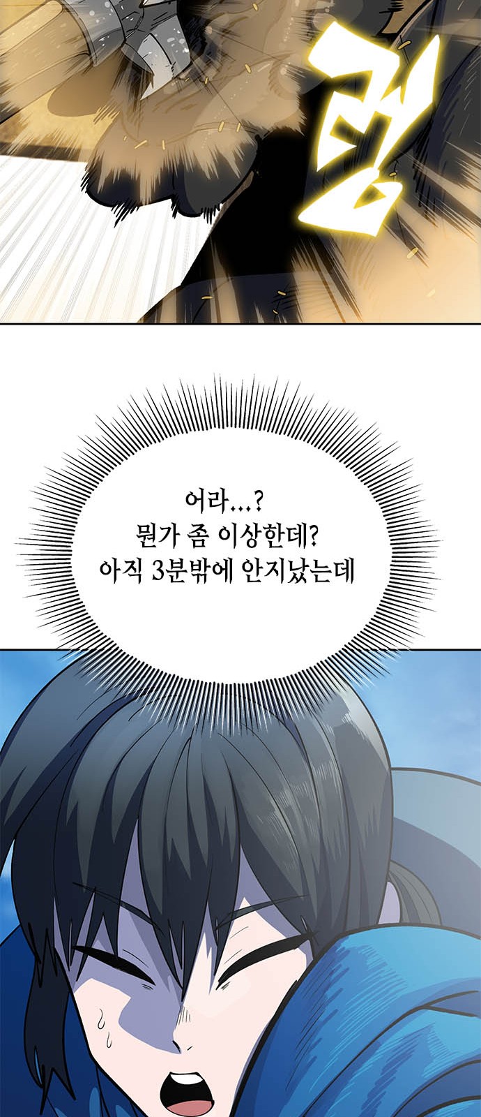 113 페이지