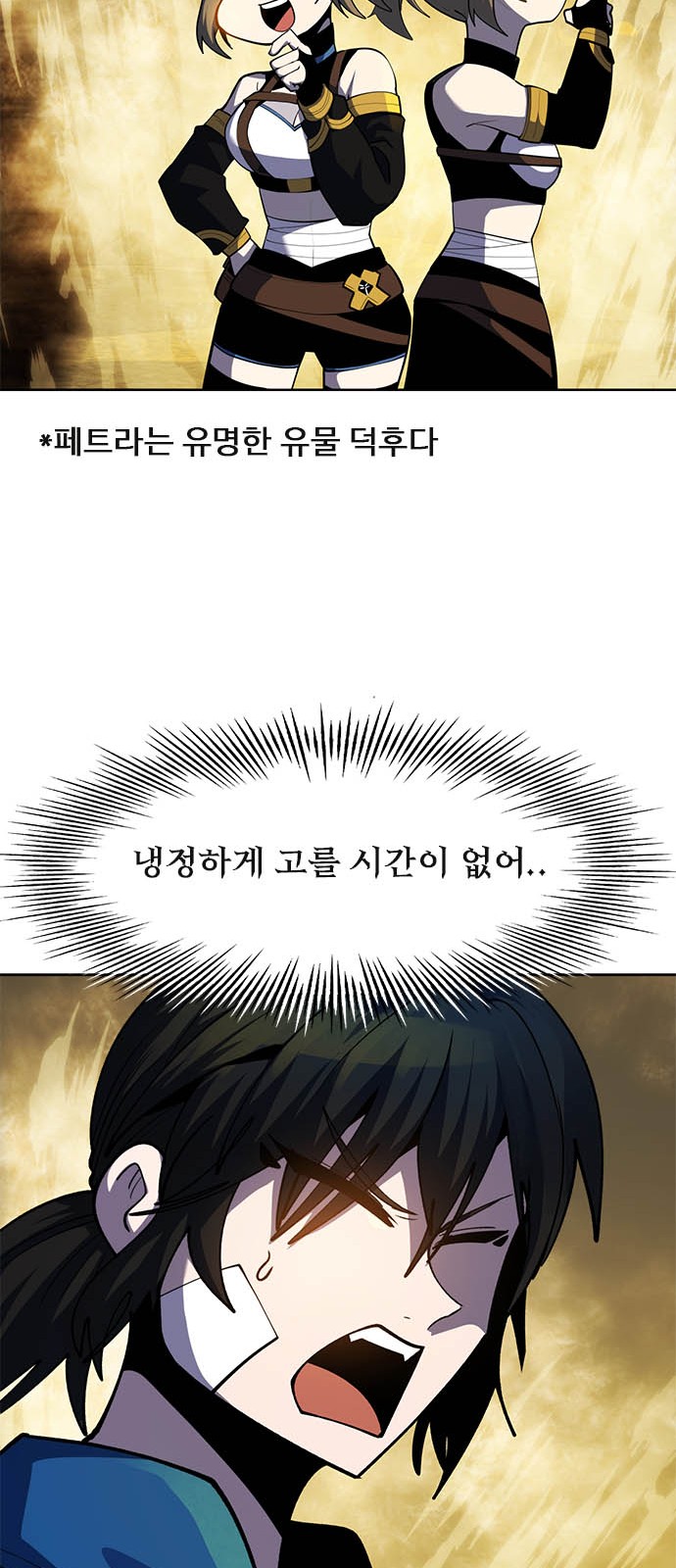70 페이지