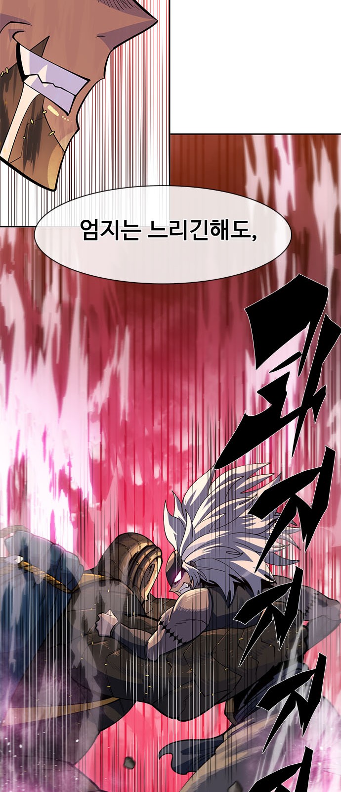 229 페이지