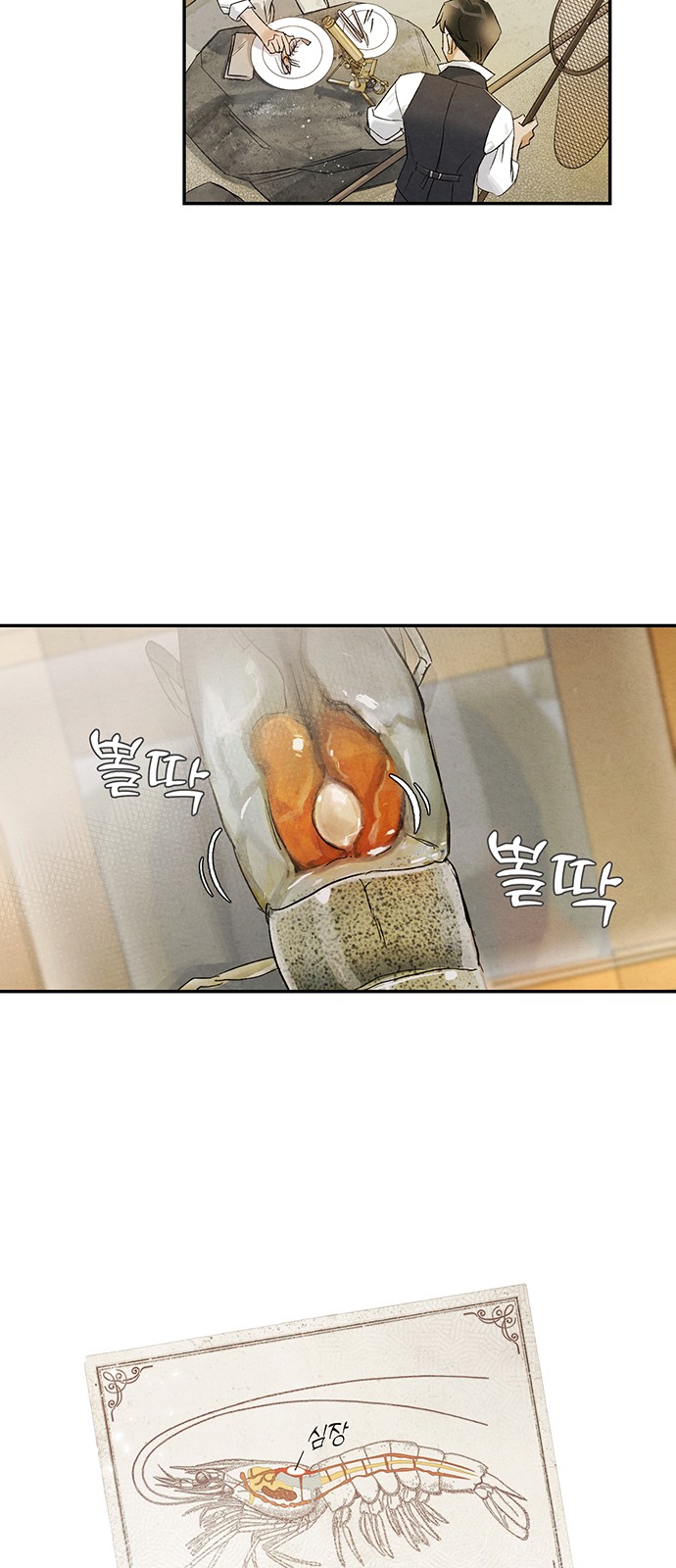 54 페이지