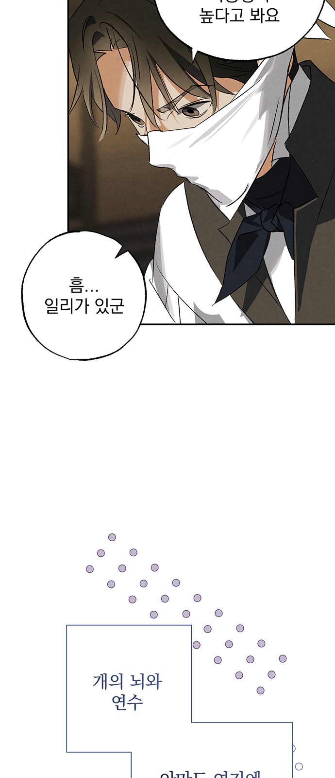 39 페이지