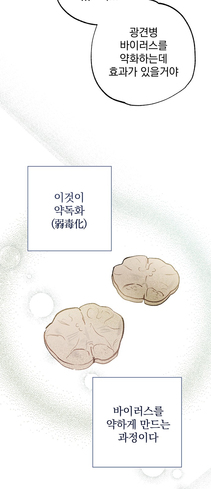 43 페이지
