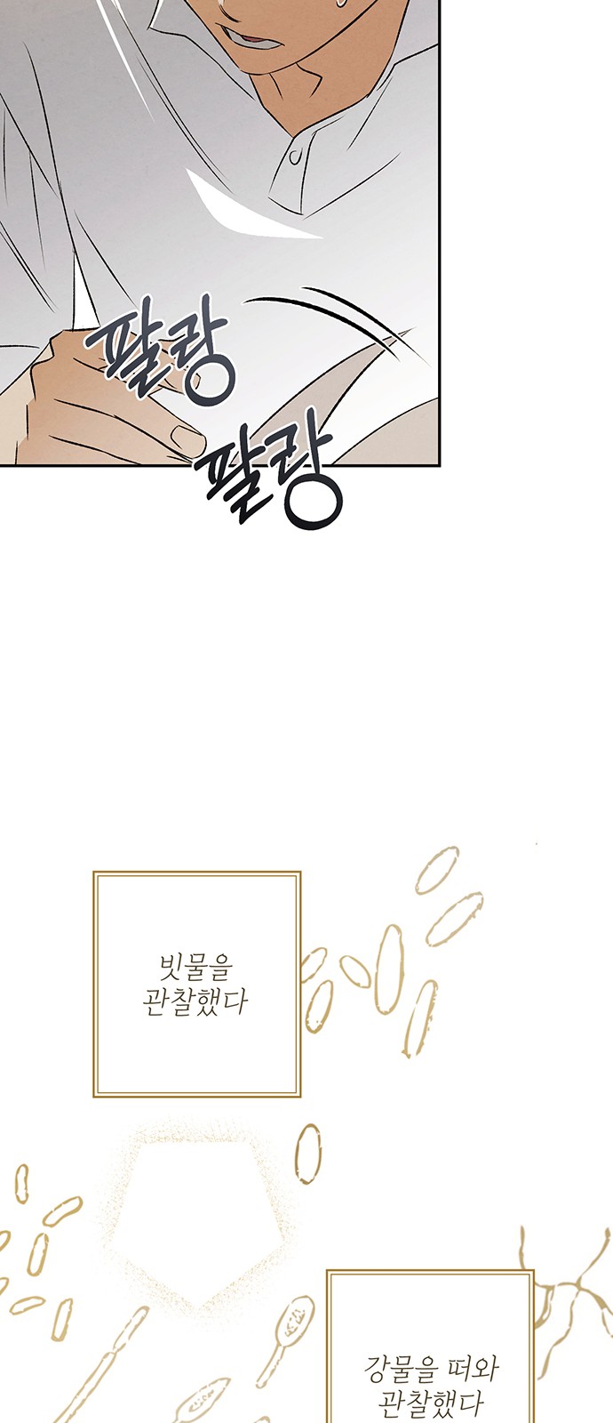 30 페이지