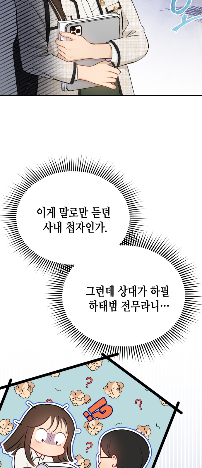 64 페이지