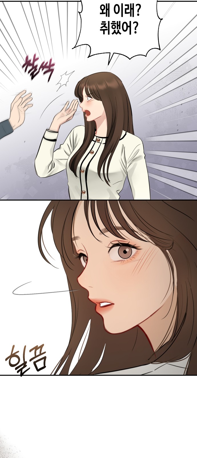 53 페이지