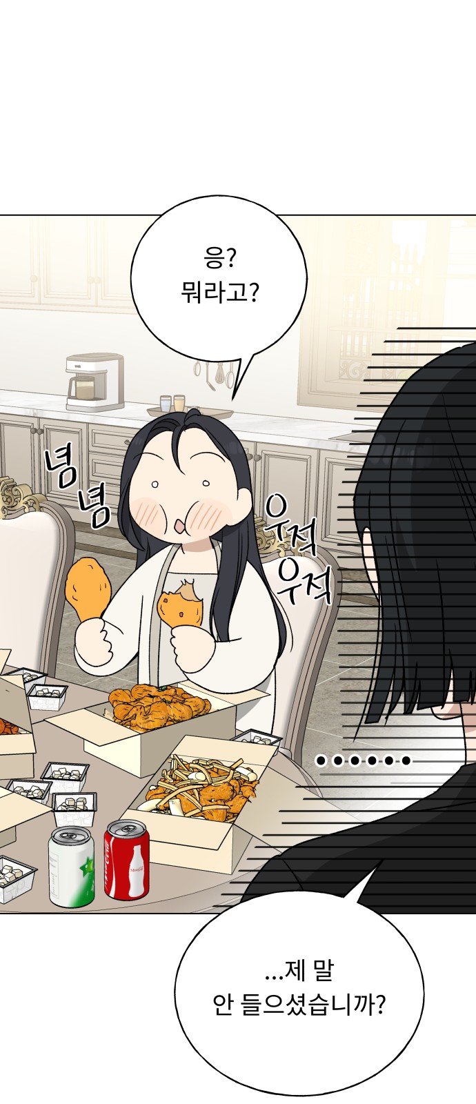 66 페이지