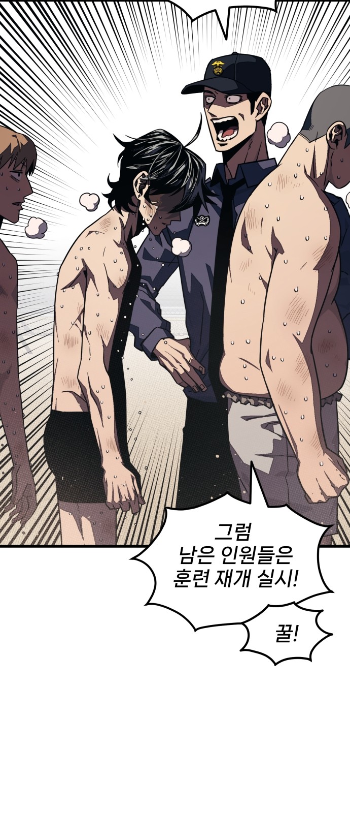 66 페이지