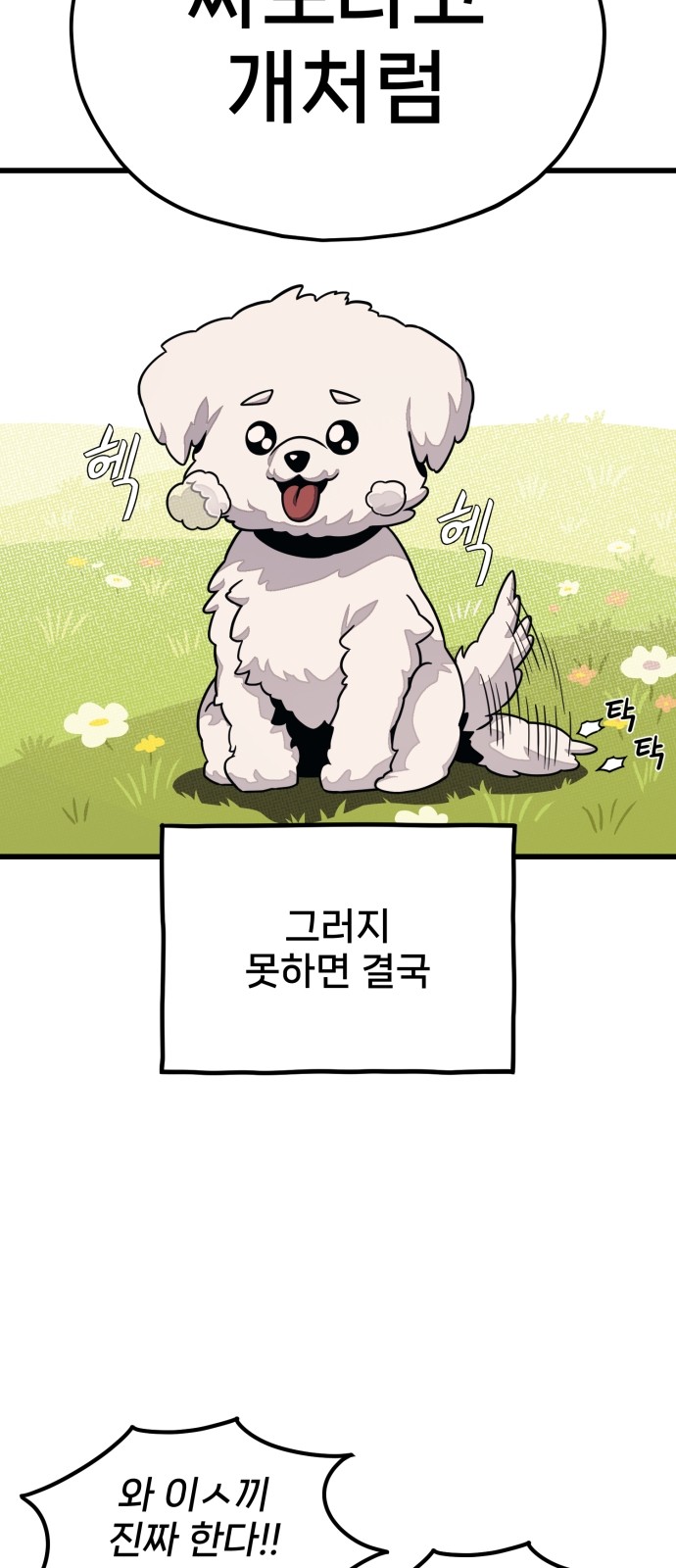 54 페이지